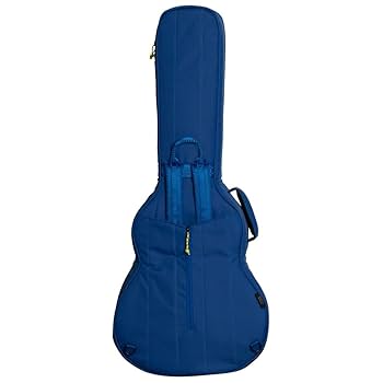 Amazon | RITTER RGB4‑SA SBL BERN Semi Acoustic(335) エレキ